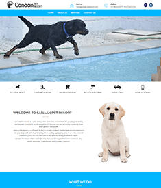 Pet Shops Website Designing Services in Bangalore
