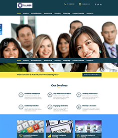 Software Companies Website Design Services in Bangalore